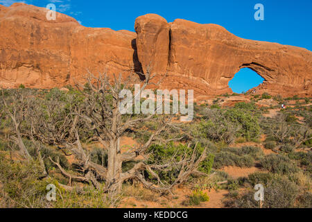 Parco Nazionale di Arches, Utah, Stati Uniti d'America Foto Stock