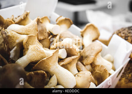 Casella di funghi closeup funghi porcini autunno Foto Stock