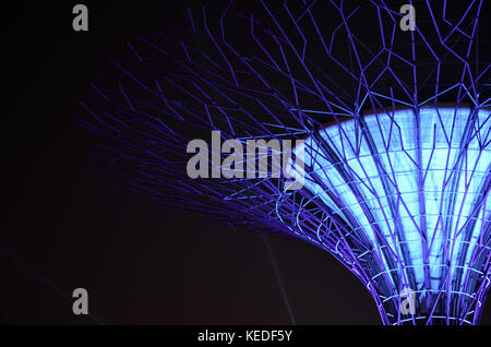 Vista notturna del supertree grove nel giardino presso la baia di Marina Bay sands background in Singapore Foto Stock