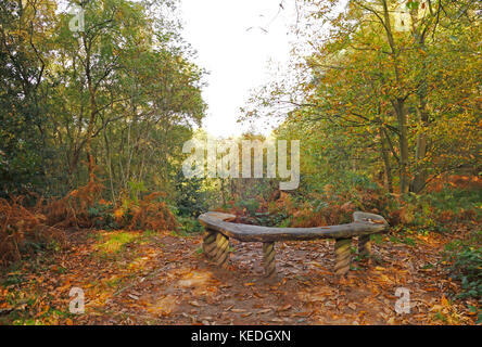 Un rustico sede su un punto alto nel bosco in autunno in una bella, angolo superiore sheringham, Norfolk, Inghilterra, Regno Unito, Europa. Foto Stock