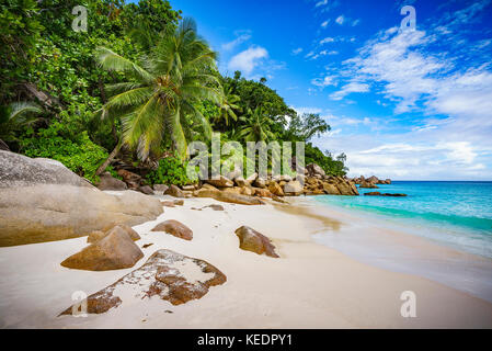 Palme e rocce di granito in sabbia bianca sulla spiaggia Seychelles. semplicemente un paradiso... Foto Stock