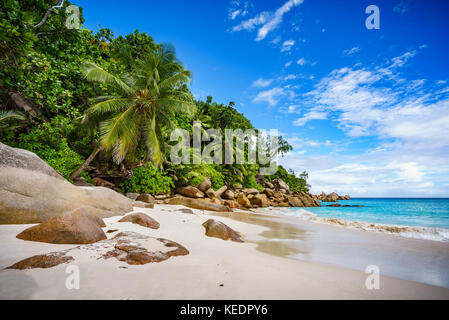 Palme e rocce di granito in sabbia bianca sulla spiaggia Seychelles. semplicemente un paradiso... Foto Stock