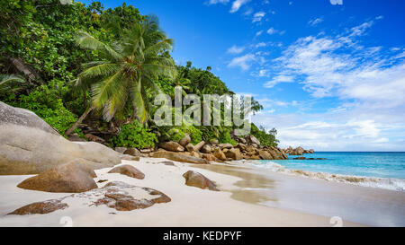 Palme e rocce di granito in sabbia bianca sulla spiaggia Seychelles. semplicemente un paradiso... Foto Stock