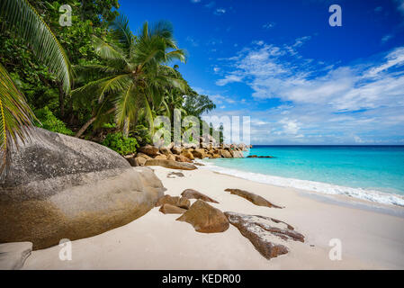 Palme e rocce di granito in sabbia bianca sulla spiaggia Seychelles. semplicemente un paradiso... Foto Stock