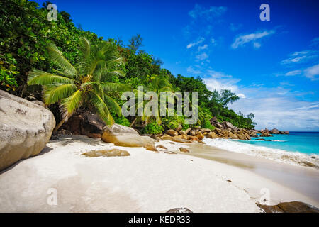 Palme e rocce di granito in sabbia bianca sulla spiaggia Seychelles. semplicemente un paradiso... Foto Stock