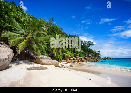 Palme e rocce di granito in sabbia bianca sulla spiaggia Seychelles. semplicemente un paradiso... Foto Stock