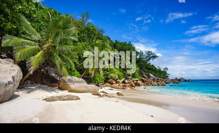 Palme e rocce di granito in sabbia bianca sulla spiaggia Seychelles. semplicemente un paradiso... Foto Stock