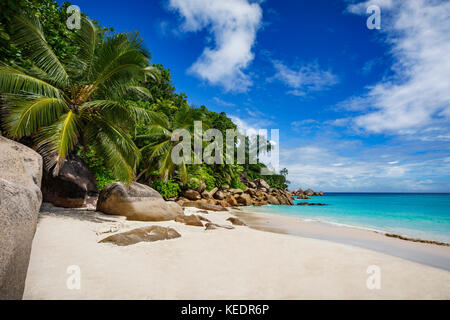 Palme e rocce di granito in sabbia bianca sulla spiaggia Seychelles. semplicemente un paradiso... Foto Stock