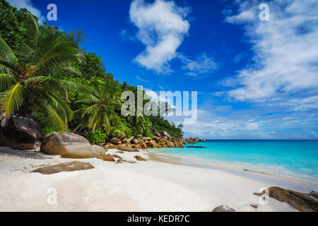 Palme e rocce di granito in sabbia bianca sulla spiaggia Seychelles. semplicemente un paradiso... Foto Stock