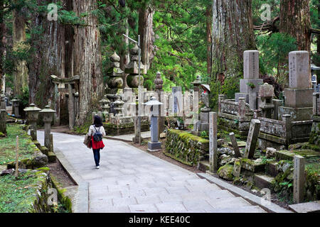 Giappone, isola di Honshu, Kansai, Koyasan, classificato come patrimonio mondiale dall UNESCO, il 200000 graves okuno-in in una foresta. Foto Stock