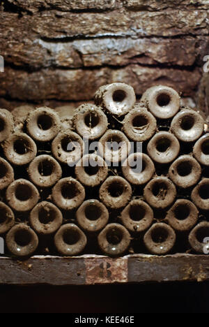 Bottiglie di vino impilati nelle cantine di Ropiteau Frères in Meursault, Borgogna, Francia Foto Stock