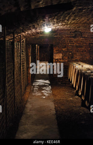 Le cantine di Ropiteau Freres in Meursault, Borgogna Foto Stock