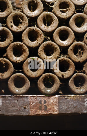 Bottiglie di vino impilati nelle cantine di Ropiteau Frères in Meursault, Borgogna, Francia Foto Stock