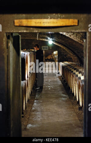 Le cantine di Ropiteau Freres in Meursault, Borgogna Foto Stock