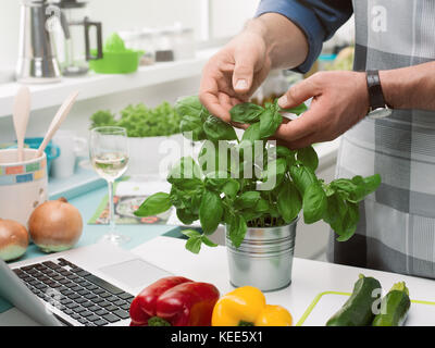 Cuocere la raccolta di foglie di basilico fresco e preparare un pasto sul piano di lavoro della cucina Foto Stock