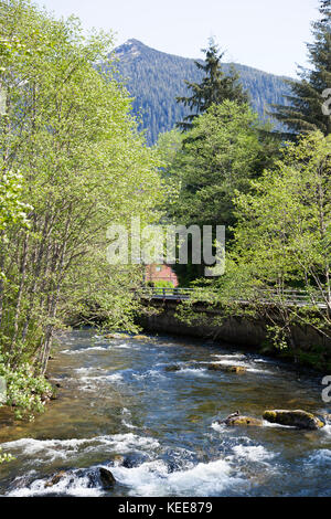 La vista di ketchikan creek con montaggio a cervi in uno sfondo (Alaska). Foto Stock