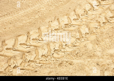 Grandi piste di pneumatici su spiaggia sabbiosa Foto Stock