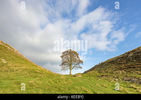 Il Vallo di Adriano, Northumberland, England, Regno Unito