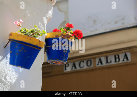 Gerani in vasi da parete blu e giallo a Cadice, Spagna. Foto Stock