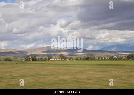 Balle di fieno rotonde e quadrate conservate sul bordo del campo di raccolta Foto Stock