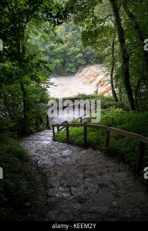 Middle Falls a Aysgarth Falls nel parco nazionale Yorkshire Dales, Inghilterra. Foto Stock