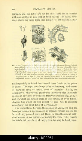 Sulla struttura e le affinità di catalogare i coralli del periodo Paleozoico (pagina 220) BHL9664589 Foto Stock