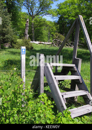 SPARREHOLM Sörmlands Foresta di quercia protetta come area naturale 2017 la via in Foto Stock