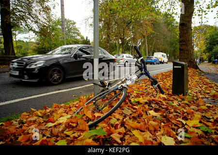 Luton, Regno Unito. Xx oct, 2017. Regno Unito Meteo. Per lo più cupo e grigio a Luton, nature ancora i colori autunnali rifulgere, Luton, Bedfordshire, Inghilterra Foto Stock