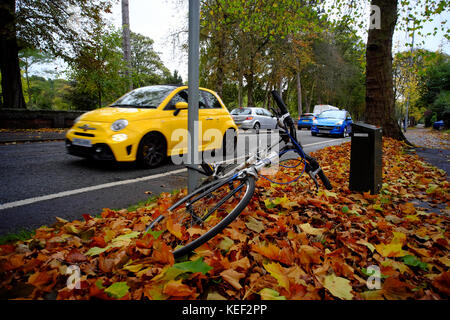 Luton, Regno Unito. Xx oct, 2017. Regno Unito Meteo. Per lo più cupo e grigio a Luton, nature ancora i colori autunnali rifulgere, Luton, Bedfordshire, Inghilterra Foto Stock