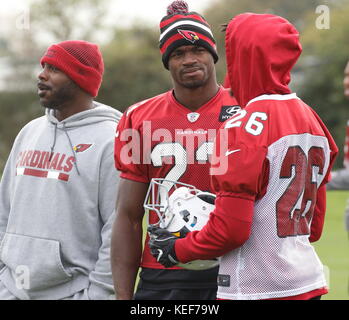 Londra, Regno Unito. Xx oct, 2017. running back adrian peterson presso l'Arizona Cardinals conferenza stampa e pratica presso il centro di hazelwood, Sunbury, davanti a loro nfl uk international series gioco vs los angeles rams a Twickenham Stadium, Londra, UK, 20 ottobre 2017 foto di Keith mayhew credito: keith mayhew/alamy live news Foto Stock