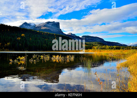 Un paesaggio autunnale immagine di Roche Miette montagna alto permanente presso l'ingresso al Parco Nazionale di Jasper, in Alberta Canada. Foto Stock