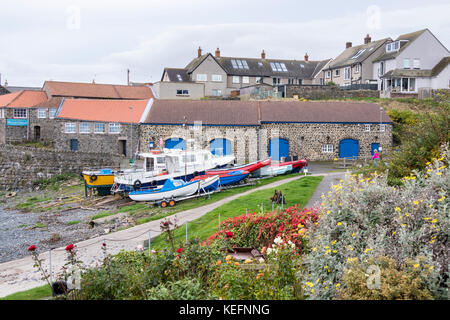 Craster, un piccolo villaggio di pescatori sulla costa Northumbrian dell'Inghilterra. Regno Unito Foto Stock