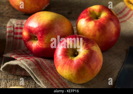 Materie organico rosso tango dolce di mele gala pronto a mangiare Foto Stock