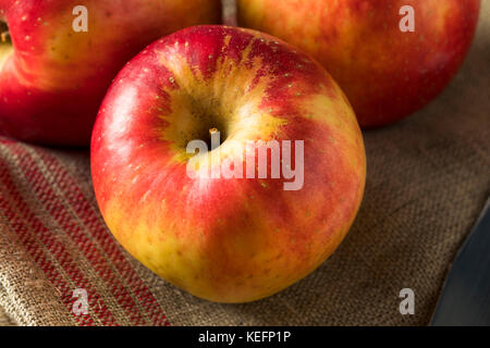 Materie organico rosso tango dolce di mele gala pronto a mangiare Foto Stock