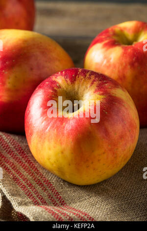 Materie organico rosso tango dolce di mele gala pronto a mangiare Foto Stock