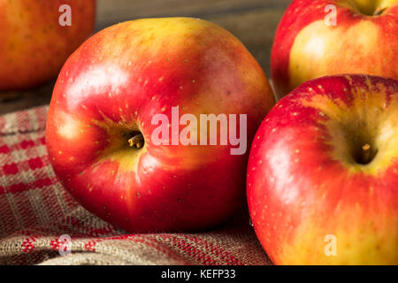 Materie organico rosso tango dolce di mele gala pronto a mangiare Foto Stock