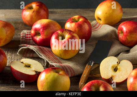 Materie organico rosso tango dolce di mele gala pronto a mangiare Foto Stock