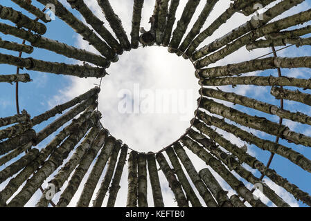 I registri di betulla su uno sfondo di cielo blu. Foto Stock