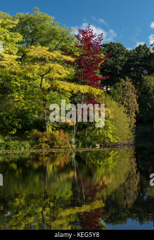 Il lago in giardini botanici, Copenhagen, Danimarca Foto Stock