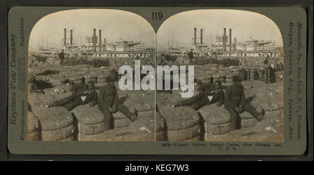 Il cotone! Il cotone! Il cotone! Argine, New Orleans, in Louisiana U.S.A, di Keystone View Company Foto Stock