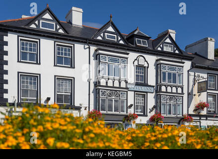 Il Dovey Inn, Aberdyfi, Snowdonia Foto Stock