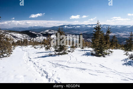 In inverno le montagne beskids panorama con il massimo grado di Babia Gora hill da magurka wislanska hill in Slesia beskids montagne in Polonia Foto Stock