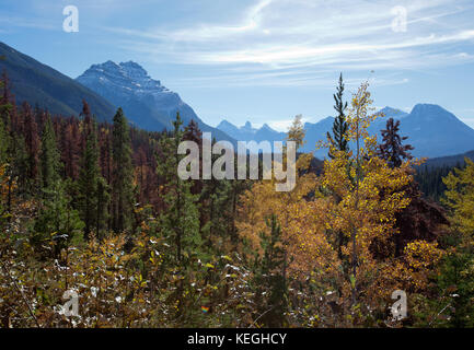 Un paesaggio autunnale in Canada con le montagne e gli alberi Foto Stock