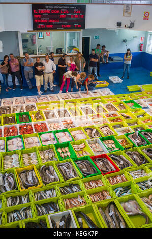 Asta del pesce a Confradia de isole Pescadores de Luarca, confederazione di Luarca pescatori, a Puerto Luarca nelle Asturie, Spagna Foto Stock