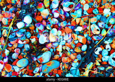 Fotografia artistica di pietre da spiaggia e conchiglie per creare sfondi fantasiosi per carta da parati e poster. Tenga il mare con lei. Foto Stock