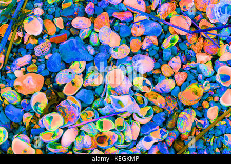 Fotografia artistica di pietre da spiaggia e conchiglie per creare sfondi fantasiosi per carta da parati e poster. Tenga il mare con lei. Foto Stock