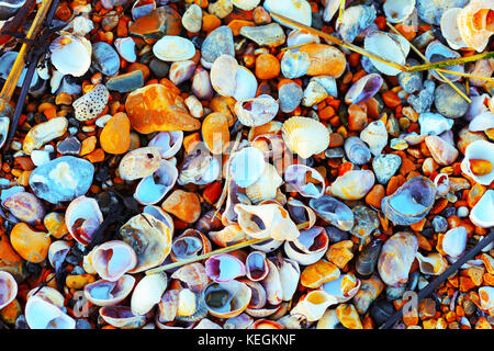 Fotografia artistica di pietre da spiaggia e conchiglie per creare sfondi fantasiosi per carta da parati e poster. Tenga il mare con lei. Foto Stock