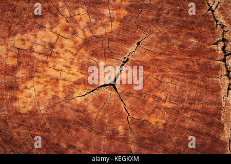 Abstract crack legno antico stile a spirale sfondo Foto Stock