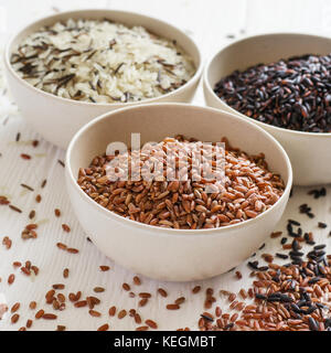 Selezione di varietà di riso gourmet in ciotole. Messa a fuoco selettiva. Foto Stock
