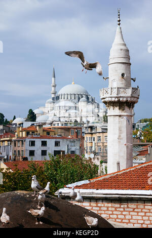 Suleymanie moschea e uccelli in volo il fuoco selettivo Foto Stock